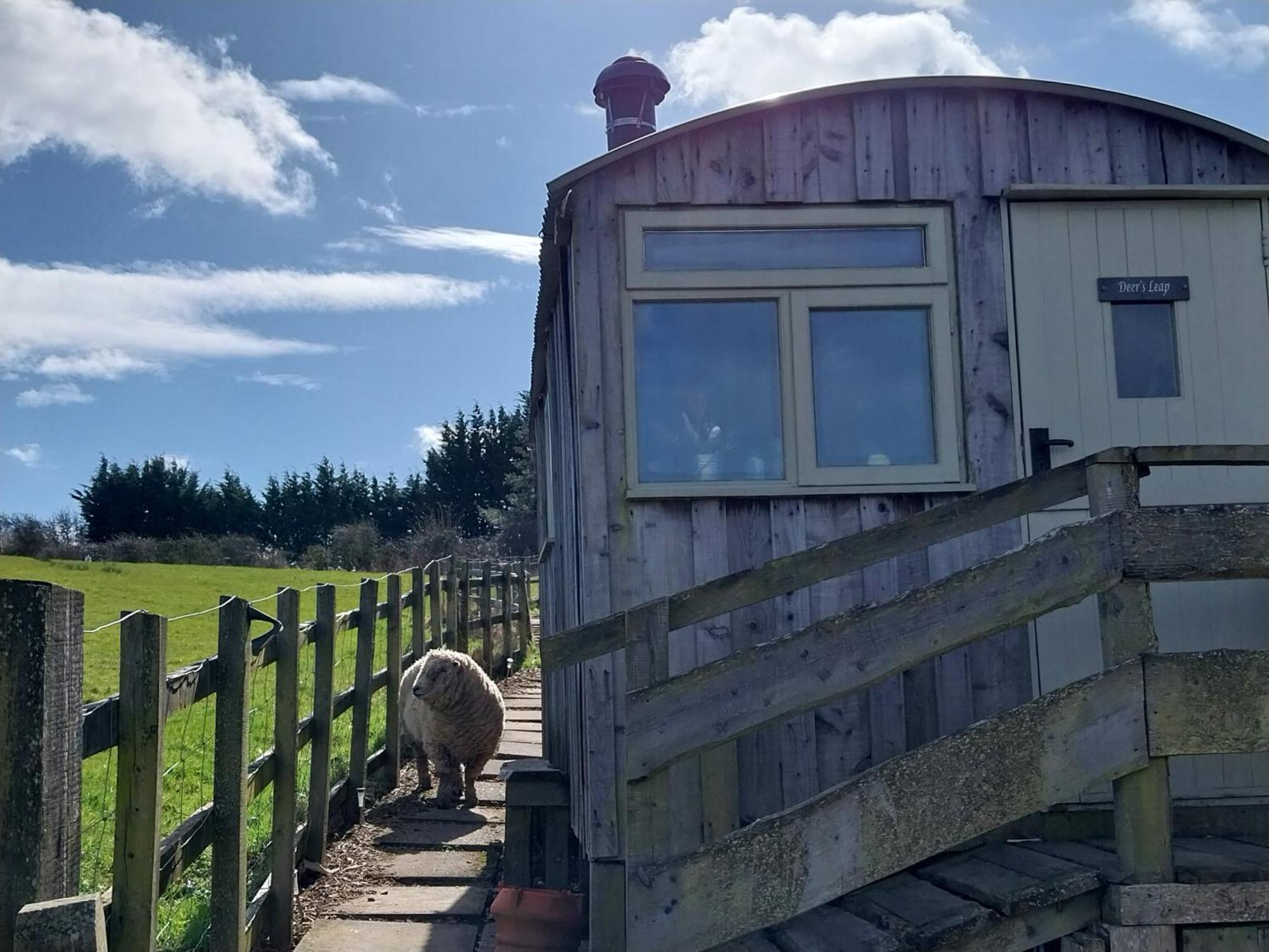 Meadowbeck - Shepherd Huts Fylingdales Экстерьер фото