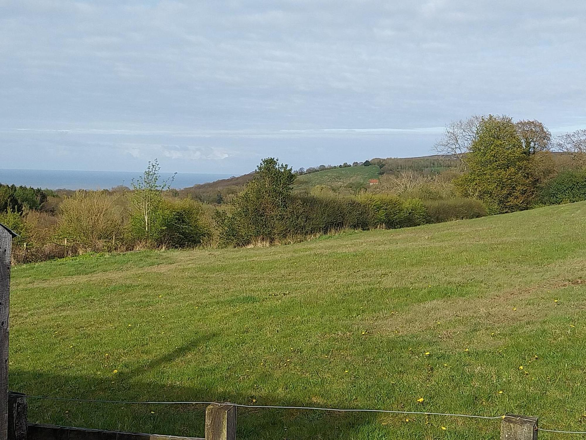 Meadowbeck - Shepherd Huts Fylingdales Экстерьер фото