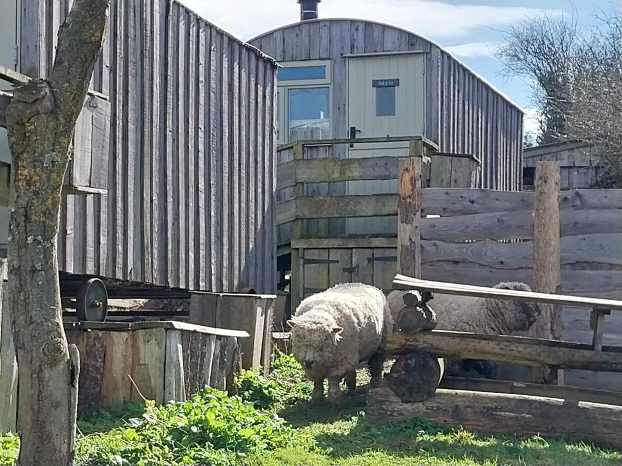 Meadowbeck - Shepherd Huts Fylingdales Экстерьер фото
